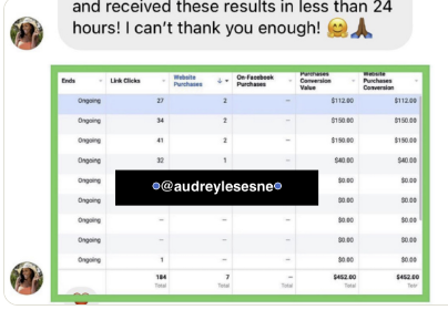Buyer testimonial — results in less than 24 hours with $452 in sales